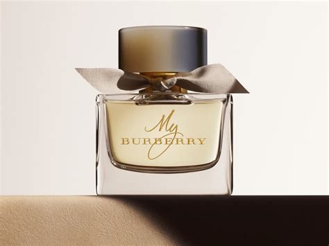 burberry summer 2013 review|best smelling Burberry.